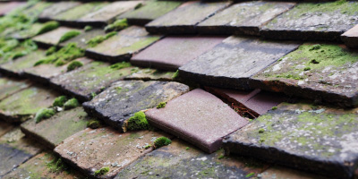 Chelmscote roof repair costs